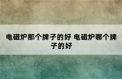 电磁炉那个牌子的好 电磁炉哪个牌子的好